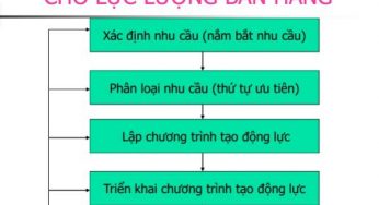 Câu hỏi quản trị tác nghiệp thương mại về mô tả công việc và tạo động lực cho nhân viên bán hàng