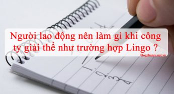 Người lao động nên làm gì khi công ty giải thể như trường hợp Lingo