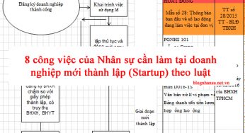 8 công việc của Nhân sự cần làm tại doanh nghiệp mới thành lập (Startup) theo luật