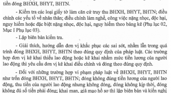 Công ty cần chuẩn bị gì khi cơ quan BHXH thanh tra, kiểm tra
