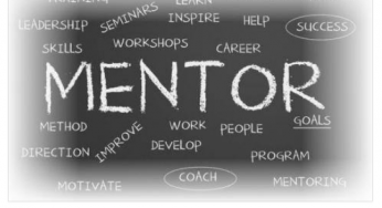 Mentor có kinh nghiệm về HR hỗ trợ build và hoàn thiện HR System của cty là cần làm gì ?