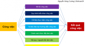 Công ty mới thành lập (startup), các công việc nhân sự cần làm năm đầu tiên là gì?