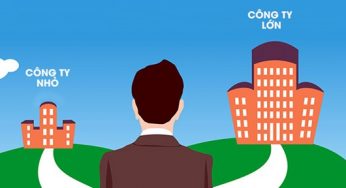 Xây dựng 1 lộ trình về mảng nhân sự từ A đến Z để có thể sử dụng làm demo áp dụng cho các công ty
