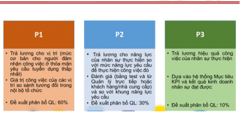 Tổng quan lịch sử hình thành và phát triển mô hình trả lương 3P