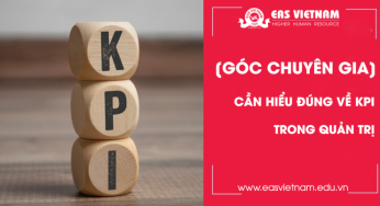 Cần hiều đúng về KPI trong quản trị – KPI (Key Performance Indicator) = cây cấu trúc nhiệm vụ trọng tâm