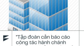 Tập đoàn cần báo cáo công tác hành chánh nhân sự gì từ các đơn vị thành viên?