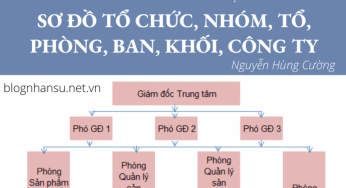 Nguyên tắc xây dựng sơ đồ tổ chức, nhóm, tổ, phòng, ban, khối, công ty?