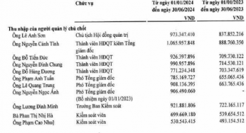 Mức lương và thù lao dành cho lãnh đạo một số Tổng công ty Nhà nước có niêm yết trên sàn chứng khoán